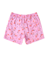 SAXX Swim Oh Buoy 2N1 Volley 5" Drinko Flamingo