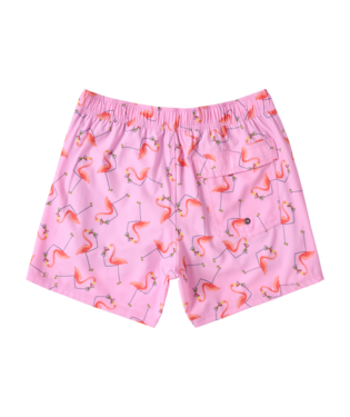 SAXX Swim Oh Buoy 2N1 Volley 5" Drinko Flamingo