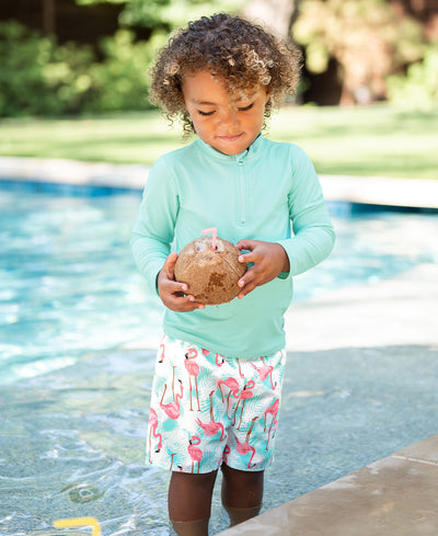 Ruffle Butts Flamingo Swim Trunks